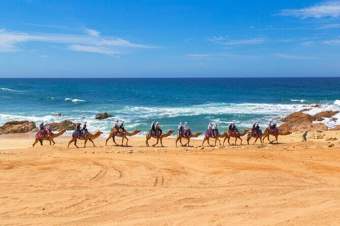 2-Hour Camel Ride Beach and Desert Adventure Experience - Who Is This Tour Best For?