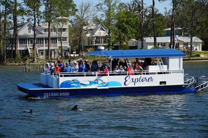 2-Hour Dolphin and Nature Eco Tour from Orange Beach - What to Expect on the Tour