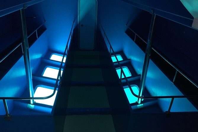 2-Hour Dolphin and Whale Watching in Gran Canaria - FAQs