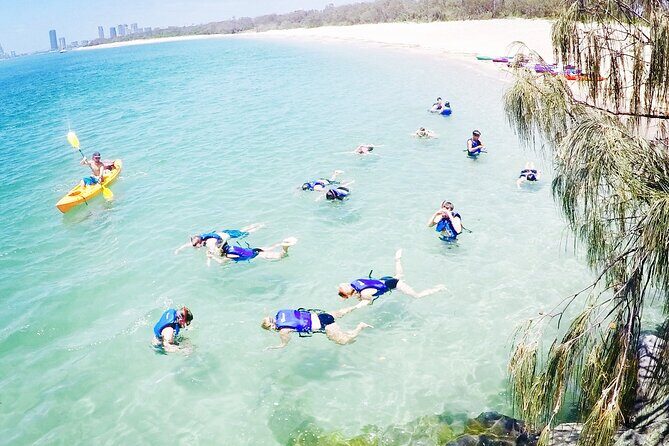 2-Hour Dolphin Kayak & Snorkel Tour on the Broadwater - Group size and logistics