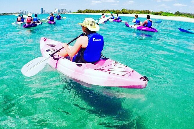 2-Hour Dolphin Kayak & Snorkel Tour on the Broadwater - What do travelers say?