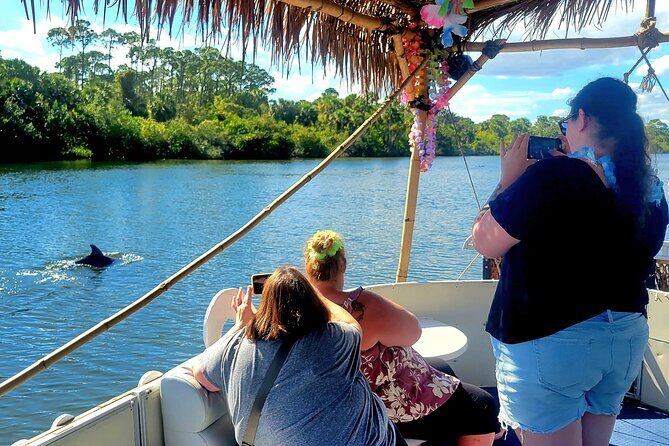 2 hour Dolphin Sightseeing Tour in Melbourne Florida - A Deep Dive Into the Experience