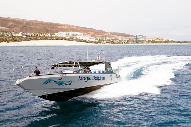 2-Hour Dolphin Watching Experience in Fuerteventura - Final Thoughts