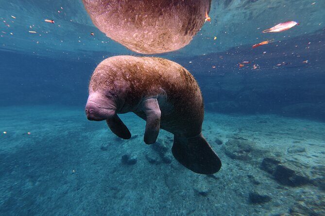 2 Hour Double Kayak Rental - What to Expect from Your Kayaking Adventure