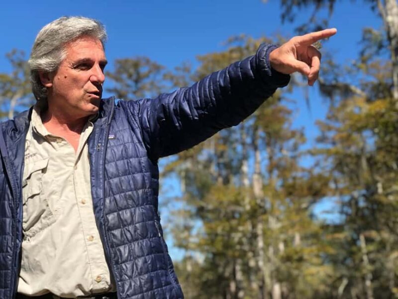 2-hour Eco-Swamp Tour - Pricing and Value