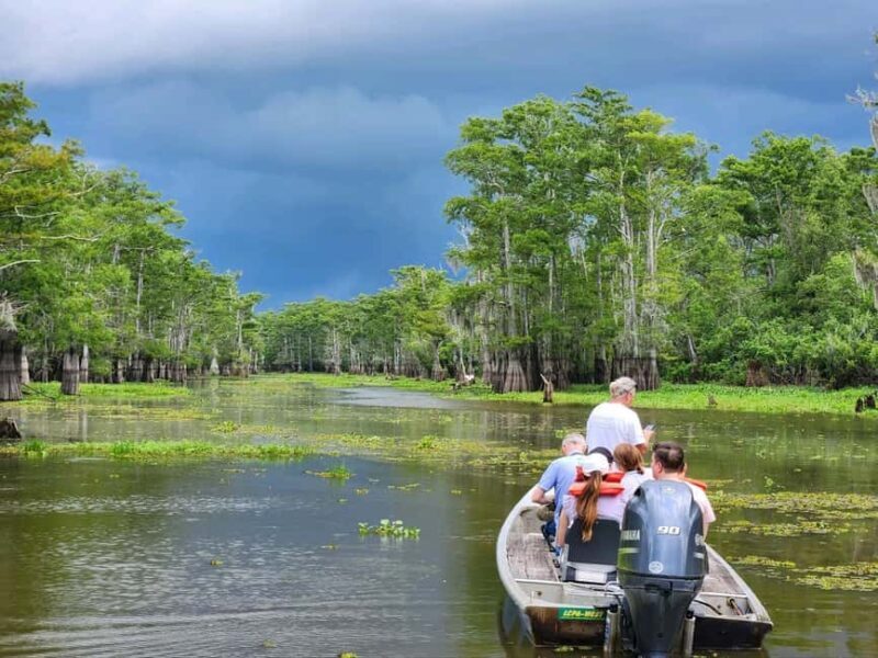 2-hour Eco-Swamp Tour - Who Should Consider This Tour?