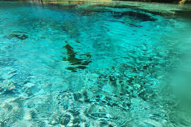 2 Hour Guided Clear Glass Bottom Kayak Tour Gilchrist Blue Spring - Key Points