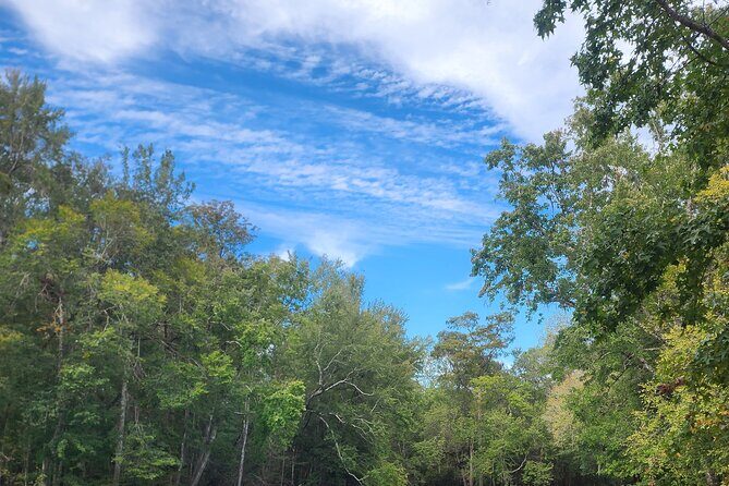 2 Hour Guided Clear Glass Bottom Kayak Tour Gilchrist Blue Spring - Value for Money