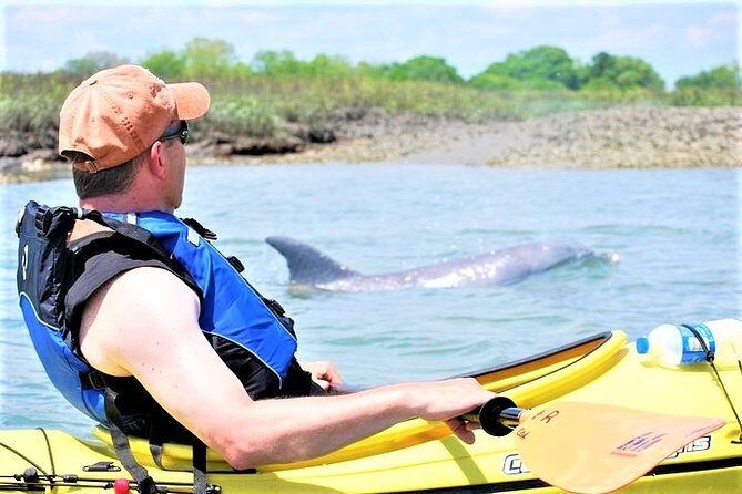 2-Hour Guided Kayak Eco Tour in Charleston - Dive Into Charleston’s Marshlands with a 2-Hour Guided Kayak Eco Tour