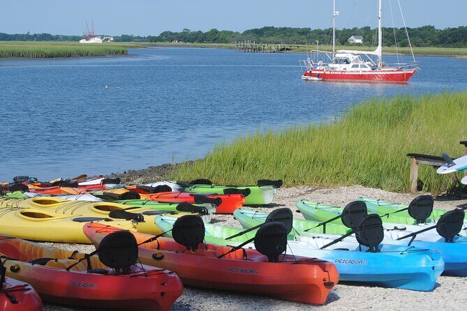 2-Hour Guided Kayak Eco Tour in Charleston - The Sum Up
