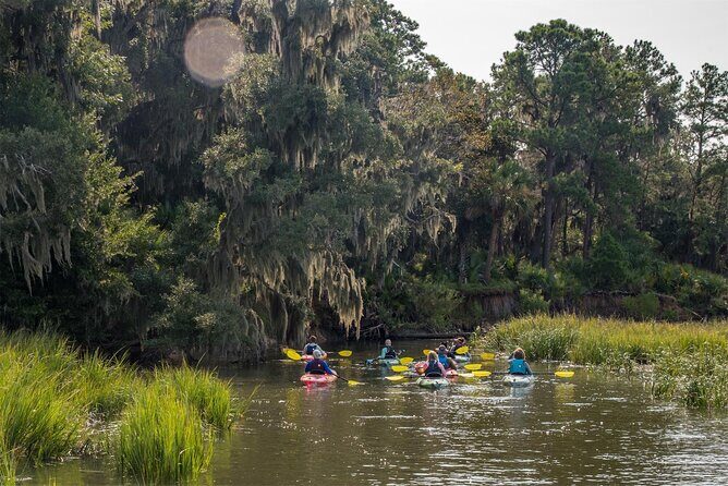2 Hour Guided Kayak Tour at Palmetto Bluff - Key Points