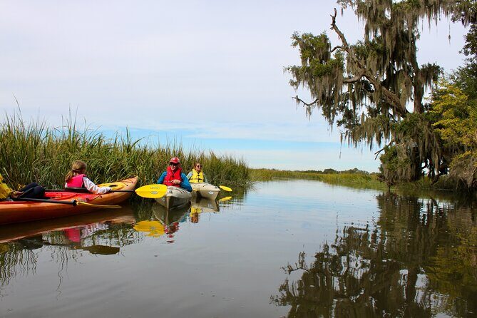 2 Hour Guided Kayak Tour at Palmetto Bluff - Final Thoughts