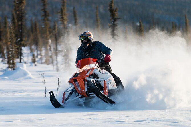 2-Hour Guided Snowmobile Tour in Fairbanks - Final Thoughts: Is This Tour Right for You?