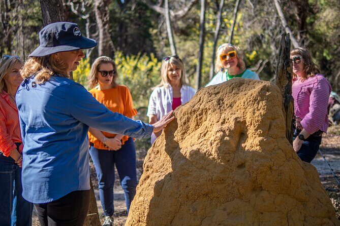 2 Hour Highlights of Eden Tour - Drawbacks or Considerations