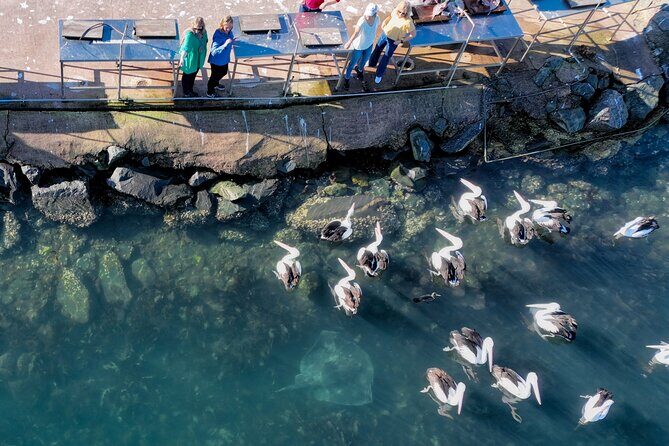 2 Hour Highlights of Eden Tour - Who is This Tour Best For?