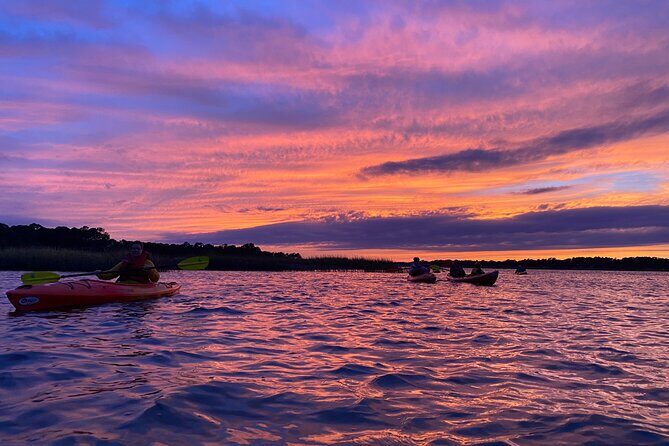 2-Hour Hilton Head Guided Kayak Nature Tour - Who Should Consider This Tour?