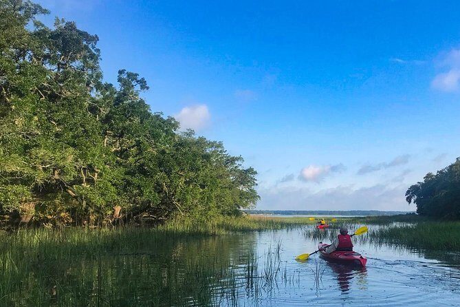 2-Hour Hilton Head Guided Kayak Nature Tour - The Sum Up