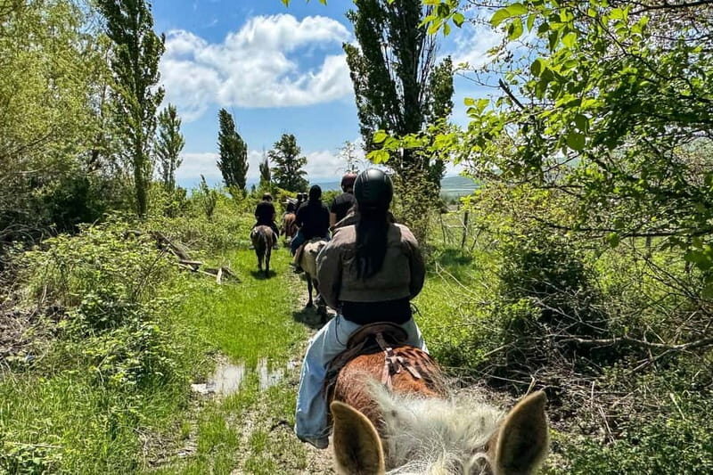 2-hour horse riding tour at Palomino Ranch Near Tbilisi - What to Expect from the Palomino Ranch Horseback Experience