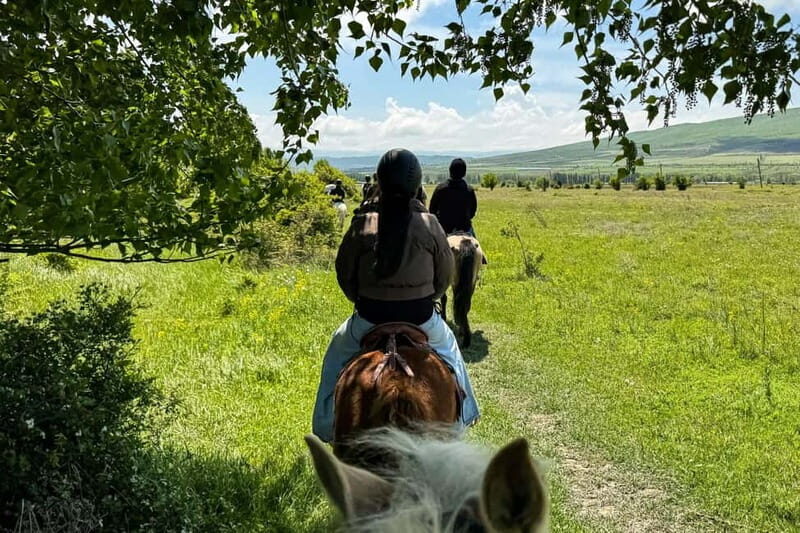 2-hour horse riding tour at Palomino Ranch Near Tbilisi - How Much Is It and Is It Good Value?