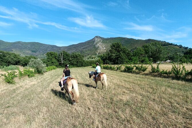 2 hour horseback ride for experts in Valgraziosa (Pisa) - The Experience in Detail