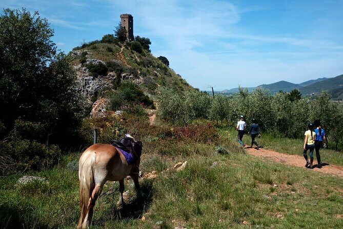 2 hour horseback ride for experts in Valgraziosa (Pisa) - What About the Cost?