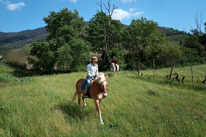 2 hour horseback ride for experts in Valgraziosa (Pisa) - FAQ
