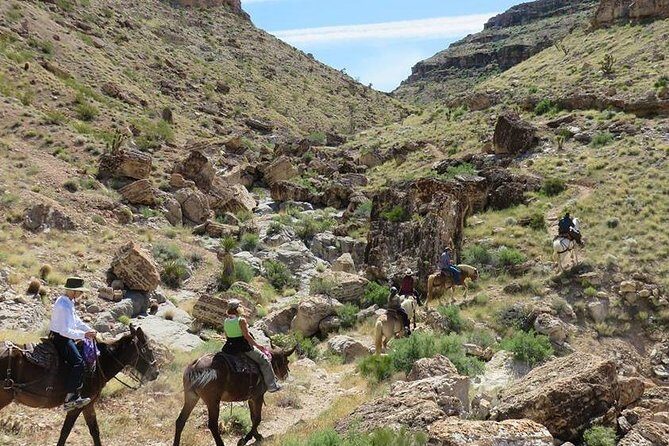 2-Hour Horseback Riding through Red Rock Canyon - The Experience for Different Types of Travelers
