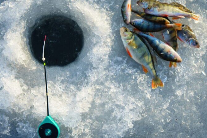 2-Hour Ice Fishing Experience in Rovaniemi, Finland - Who Will Love This Tour?
