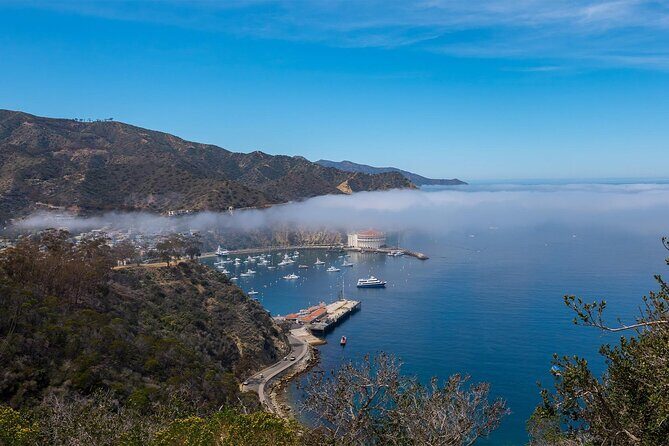 2 hour Inside Adventure Tour on Catalina Island - Key Points