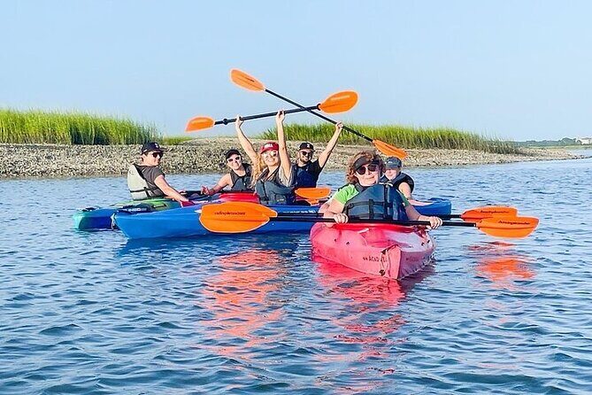 2 Hour Kayak Hilton Head Dolphin and Nature Tour - Exploring Hilton Head’s Salt Marshes by Kayak: What You Can Expect