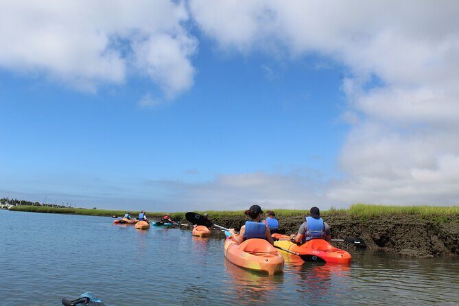 2-Hour Kayak Rental in Cape May per person - What the Reviews Say