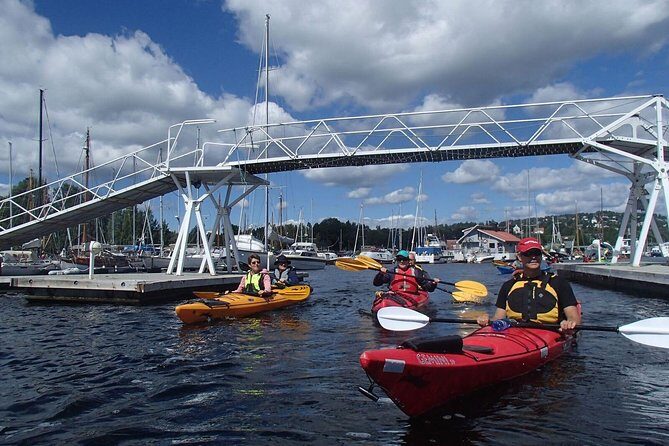2- hour kayak trip on the Oslo Fjord - Who Should Consider This Tour?