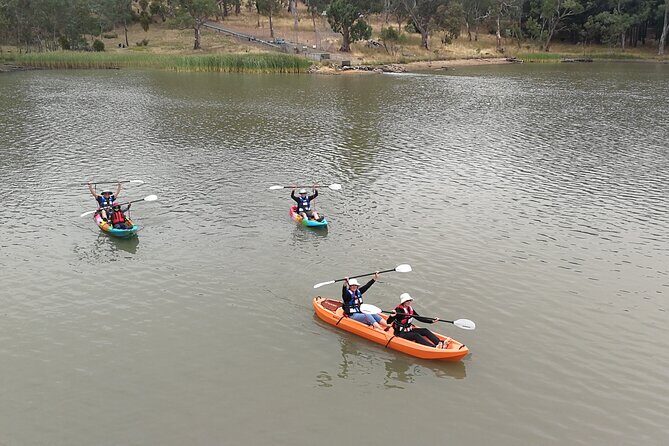 2-Hour Kayaking Experience in Barossa Valley - What You Can Expect from This Kayaking Adventure