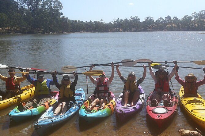 2-Hour Kayaking Experience in Barossa Valley - Why We Think This Option Is Worth Considering