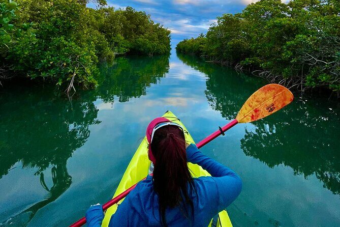 2 Hour Key West Kayak Rental  Discover Mangroves & Wildlife! - What To Expect on Your Paddle