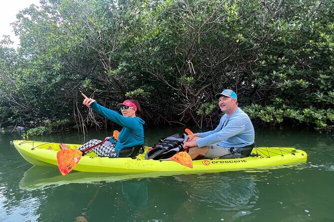 2 Hour Key West Kayak Rental  Discover Mangroves & Wildlife! - Potential Drawbacks to Keep in Mind