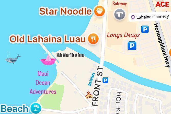 2 hour Lahaina Sunrise Whale Watch - Practical Details and Tips