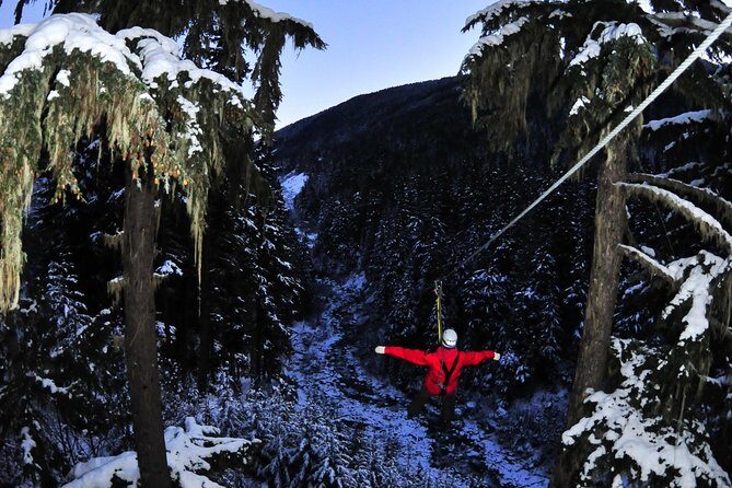 2 Hour Late Afternoon Winter Zipline Adventure - What is the Experience Like?