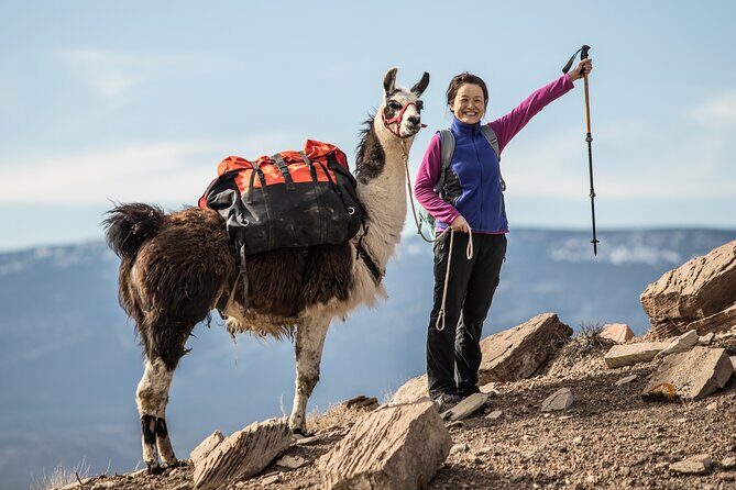2-Hour Llama Hike - Key Points