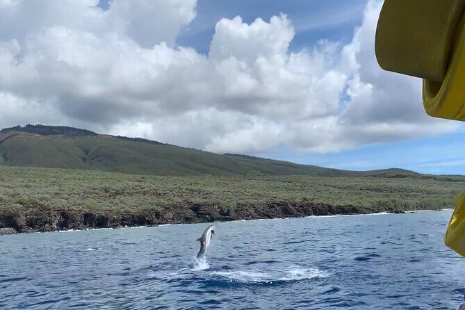 2 Hour Maui Dolphin Watch Sightsee Raft Tour (Semi-Private) - Who Should Book This Tour?