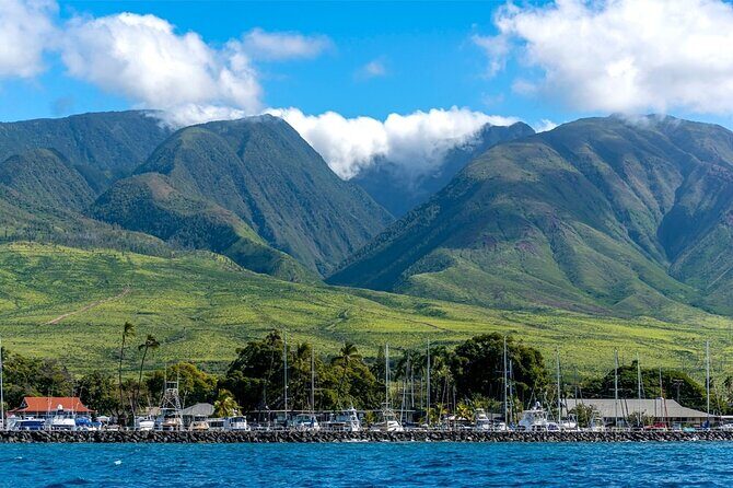 2 Hour Maui Dolphin Watch Sightsee Raft Tour (Semi-Private) - The Sum Up