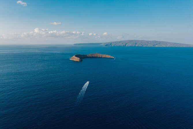 2-Hour Molokini Snorkel Trip - Key Points