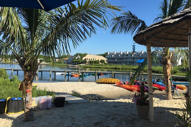 2-Hour Paddleboard Rental in Rehoboth Bay - Who Should Consider This Rental