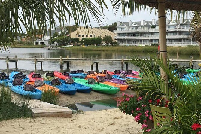 2-Hour Paddleboard Rental in Rehoboth Bay - FAQ
