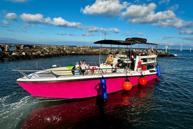 2 Hour Prime Time Maui Whale Watching - Price and Value: Does It Make Sense?