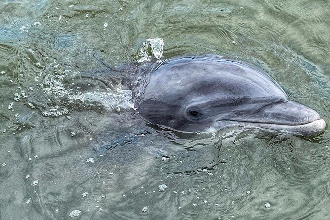 2 Hour Private Charter (up to 14 passengers) - Exploring the Experience