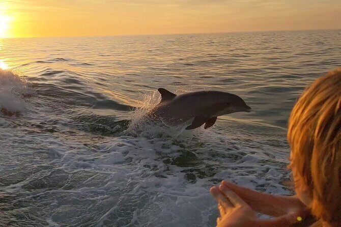 2 Hour Private Dolphin and Sightseeing Tour Shell Island - Key Points