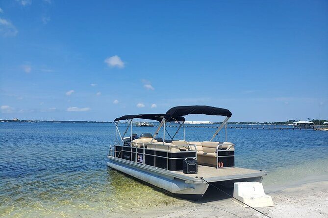 2 Hour Private Dolphin and Sightseeing Tour Shell Island - What to Expect from the Tour