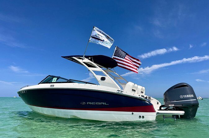 2 Hour Private Dolphin Eco Bout Tour St Pete Beach Florida - Who is This Tour Best For?