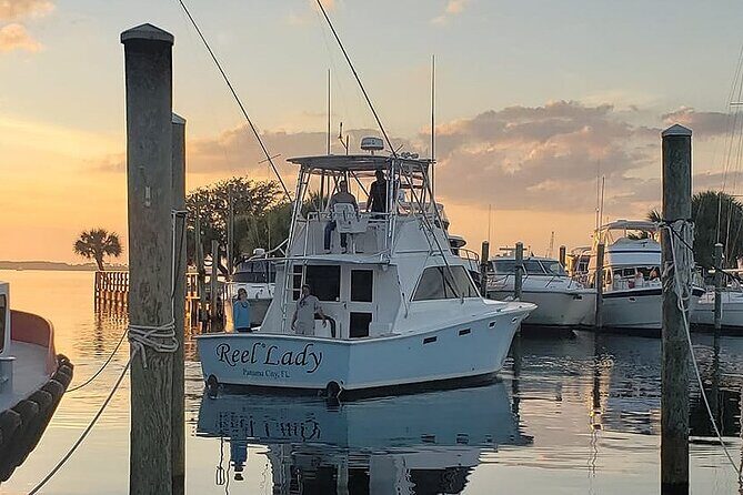 2 Hour Private Dolphin Sightseeing Tour - Key Points